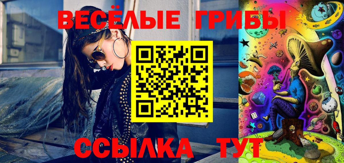 Красноармейск  Галлюциногенные грибы Psilocybe  Вход с VPN 
